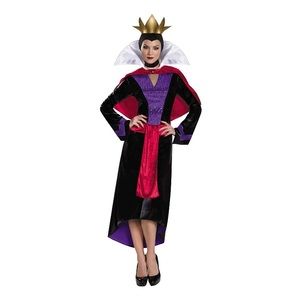 Disney Villain Adult Costume